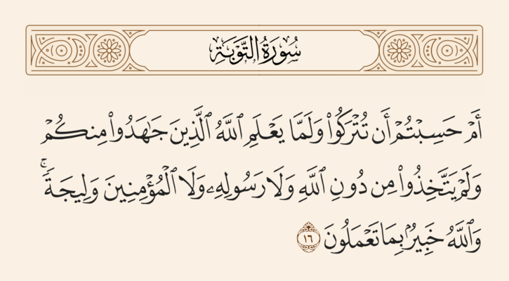 Verse 16 of Sura al-Tawba and Ghadir