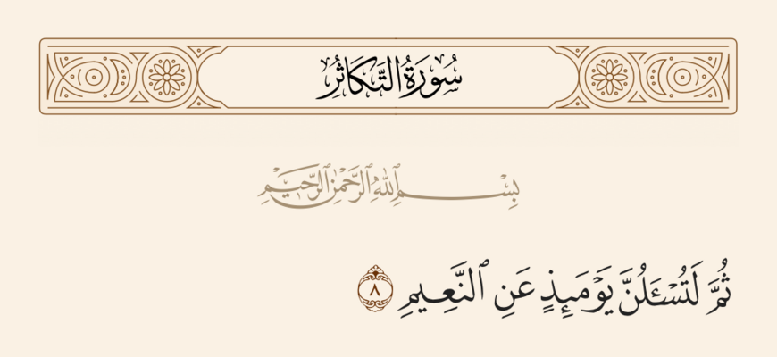 Verse 8 of Sura al-Takathur and Ghadir